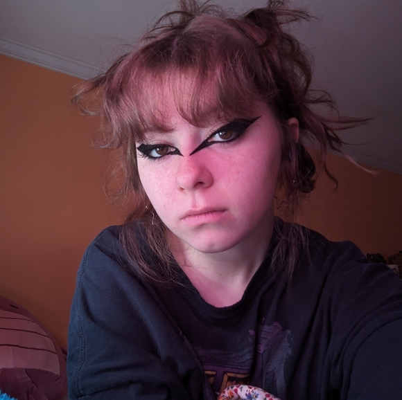 Meet your Posher, Ollie - Picture 1 of 1